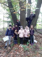 naravoslovni dan v gozdu